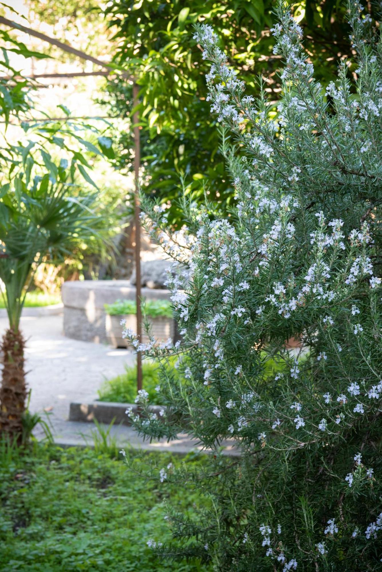 Residenza Leone XIII Hotel Roma Ngoại thất bức ảnh